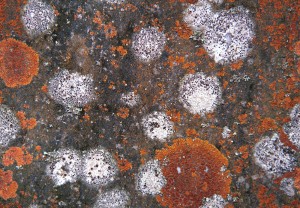 Текстуры камня -1